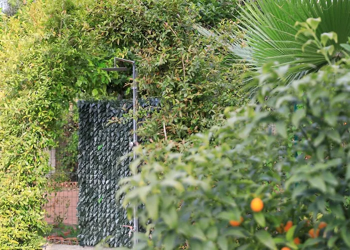 Giardino Di Edo 4* Tropea