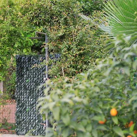 Giardino Di Edo 4* Tropea